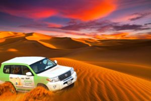 Read more about the article Why Choose Ammar Tours ?