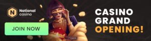 Read more about the article What the site actually does when you click “national casino login”