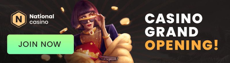 Read more about the article What the site actually does when you click “national casino login”