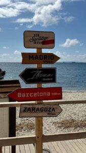 Read more about the article Introducción